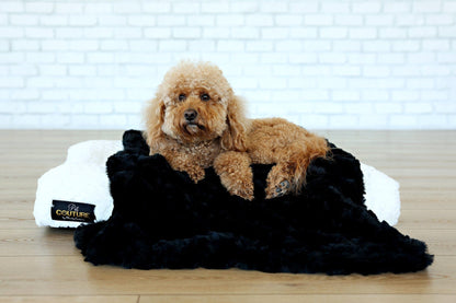 Luxurious Black Crinkle Pet Blanket JulesRoche