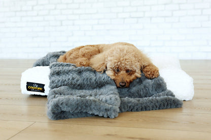 Luxurious Charcoal Plume Designer Pet Blanket by JulesRoche