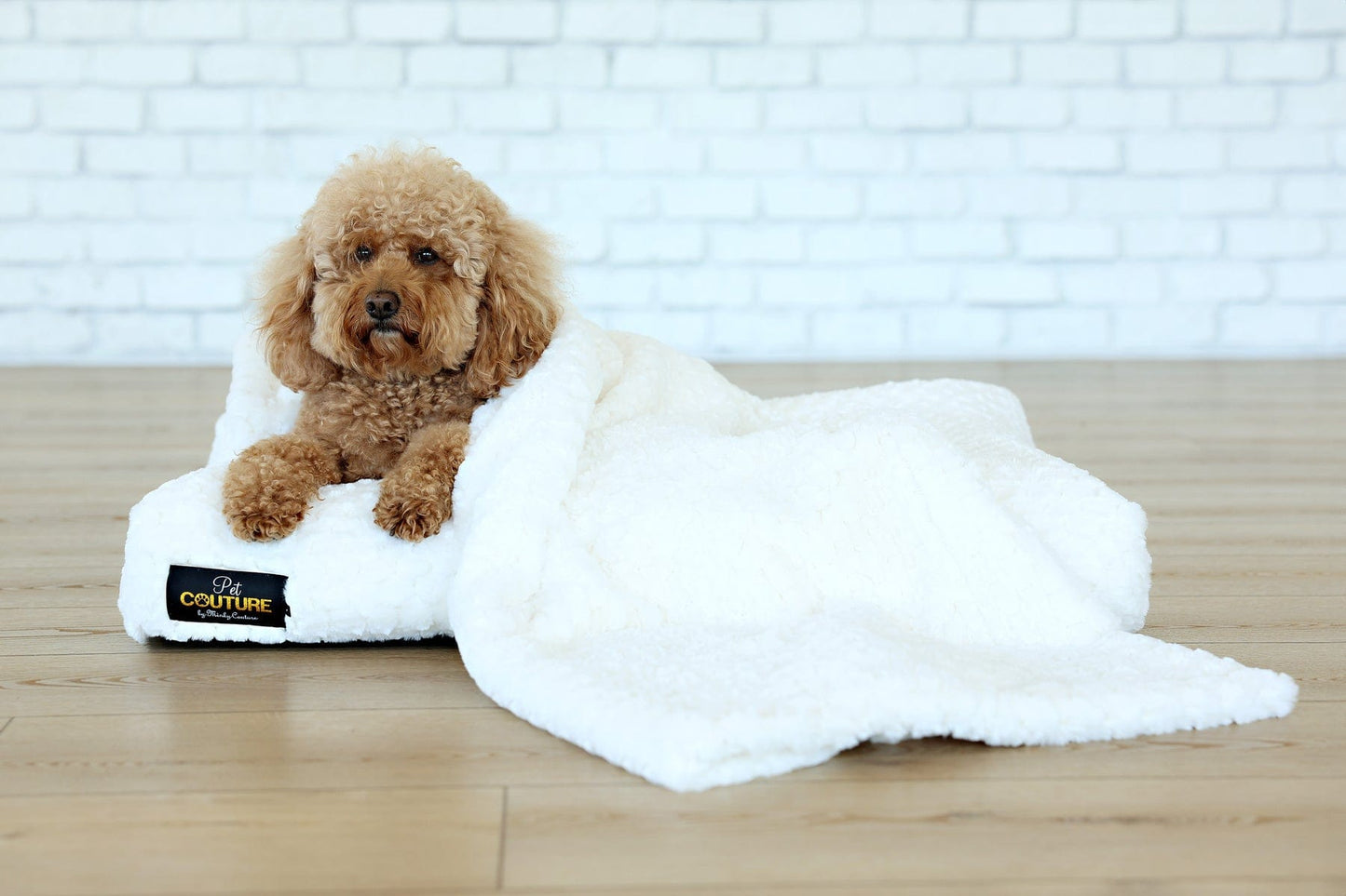 Luxurious Cream Honeycomb Pet Blanket JulesRoche