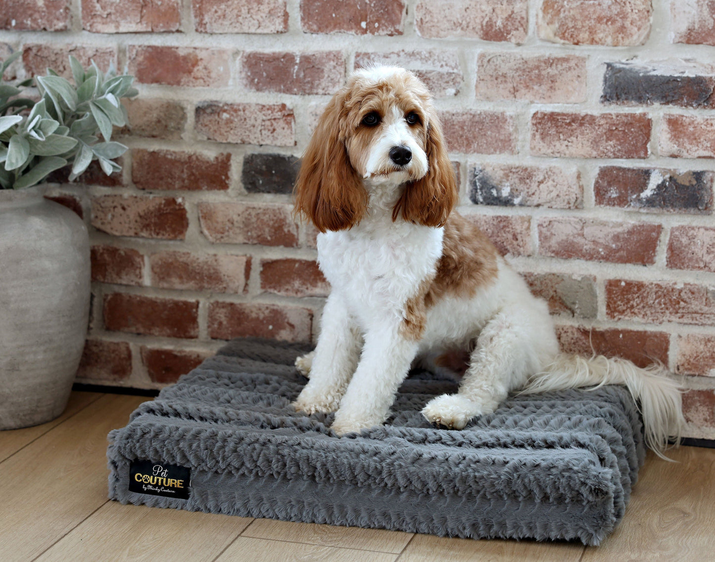 Memory Foam Pet Bed JulesRoche High-Density Minky Cover