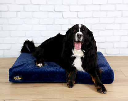 Memory Foam Dog Bed JulesRoche Comfort and Style Model