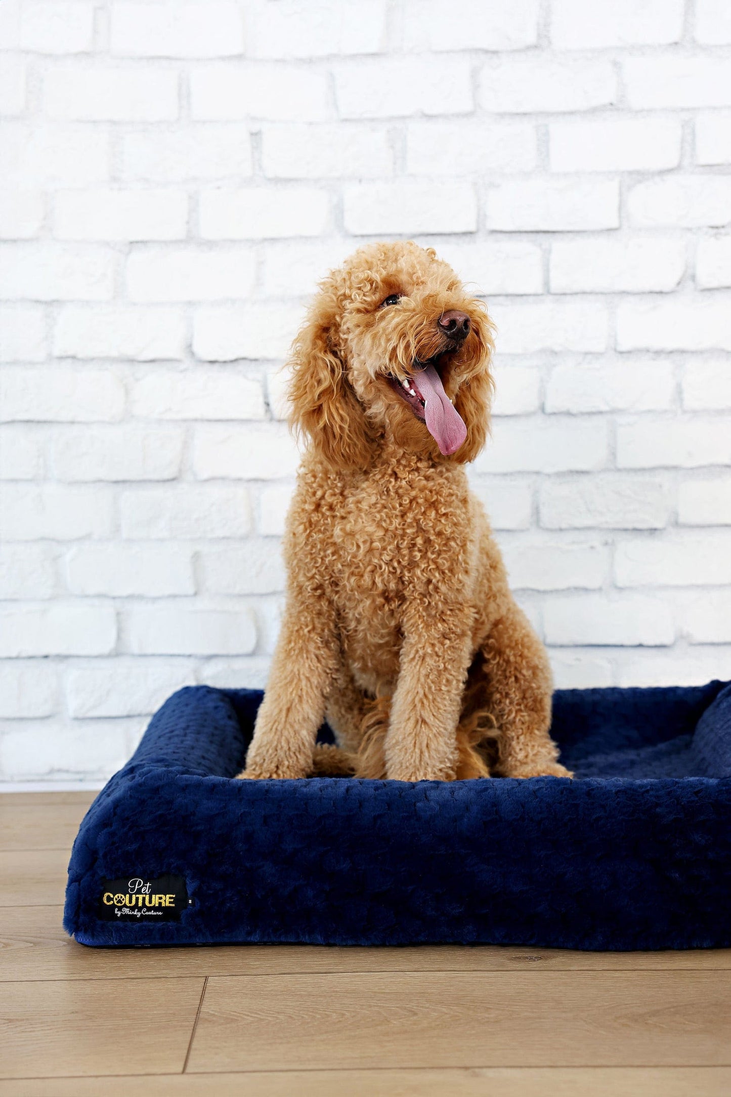 Luxurious Pet Bed JulesRoche Memory Foam Water-Resistant